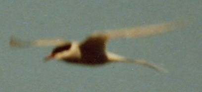 FIGURE 2 FIGURE 2